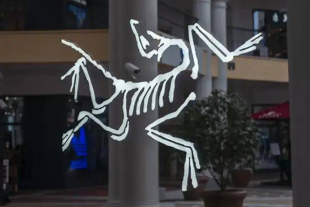 “炸走”安踏125亿<strong></p>
<p>tp钱包app下载安装</strong>，始祖鸟为何在青藏高原放烟花？