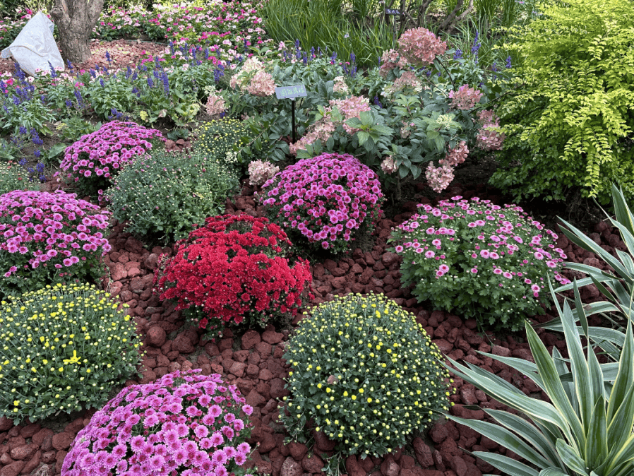 本周六将迎阵雨;北京最大山姆会员店即将开业;北京最大公园来啦丨朝闻北京