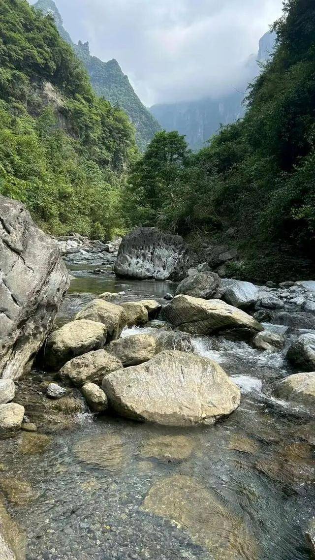 90后杨东东夺得荒野求生挑战赛冠军<strong></p>
<p>trx</strong>，每顿饭都会吃点老鼠，获10万奖金，比赛前后对比照曝光