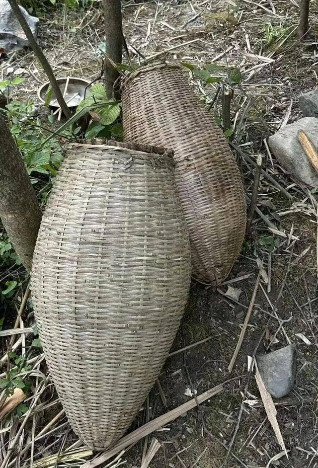 90后杨东东夺得荒野求生挑战赛冠军<strong></p>
<p>trx</strong>，每顿饭都会吃点老鼠，获10万奖金，比赛前后对比照曝光