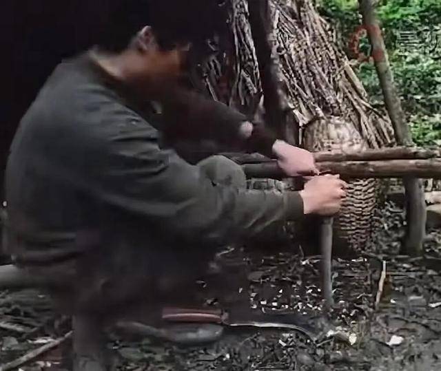 90后杨东东夺得荒野求生挑战赛冠军<strong></p>
<p>trx</strong>，每顿饭都会吃点老鼠，获10万奖金，比赛前后对比照曝光