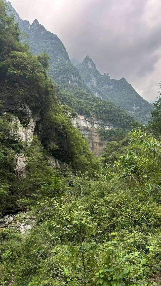 90后杨东东夺得荒野求生挑战赛冠军<strong></p>
<p>trx</strong>，每顿饭都会吃点老鼠，获10万奖金，比赛前后对比照曝光