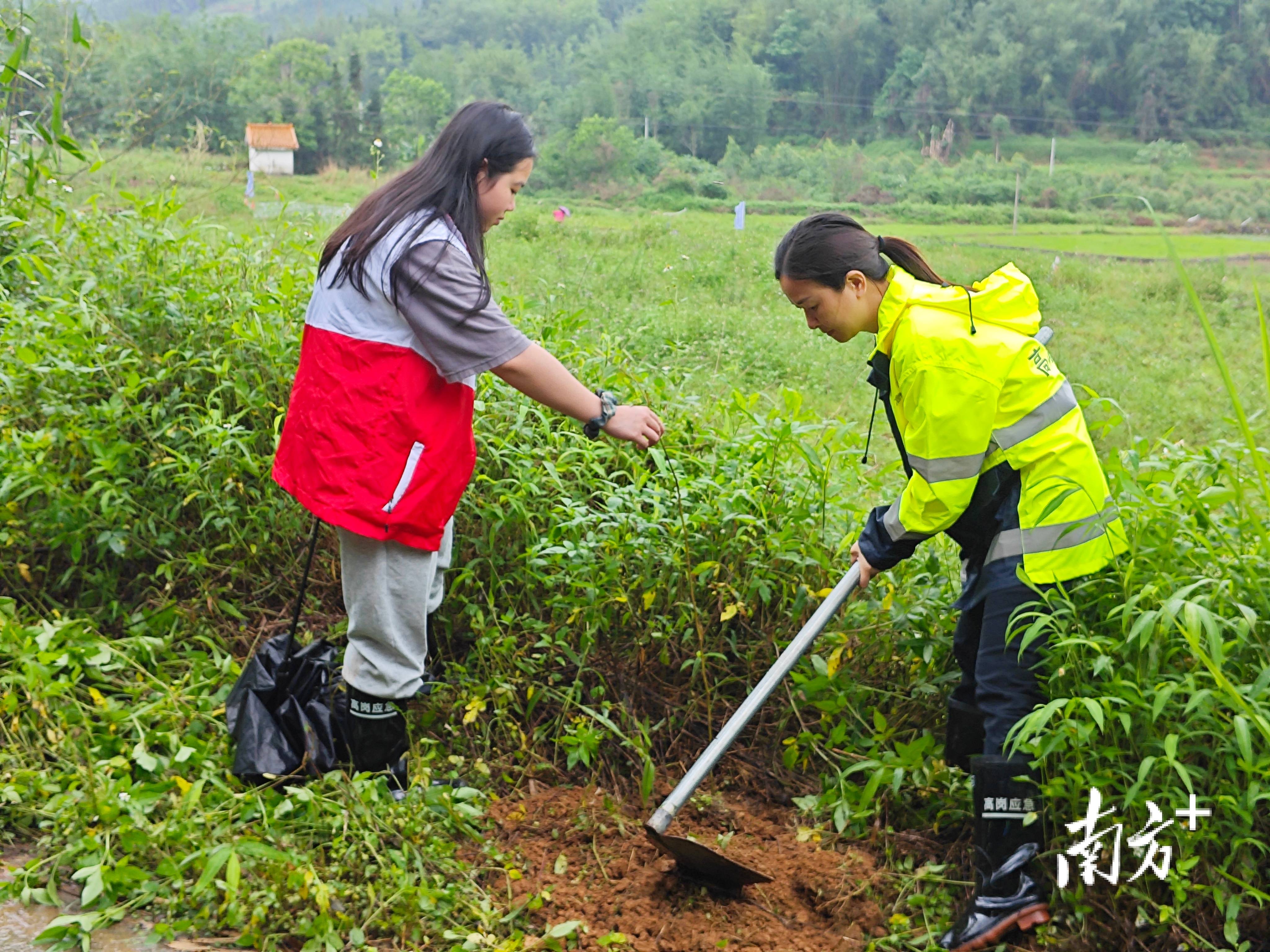 “外来媳妇”谭焕贞五年深耕<strong></p>
<p>trx价格</strong>，佛冈高岗宝山村换新貌