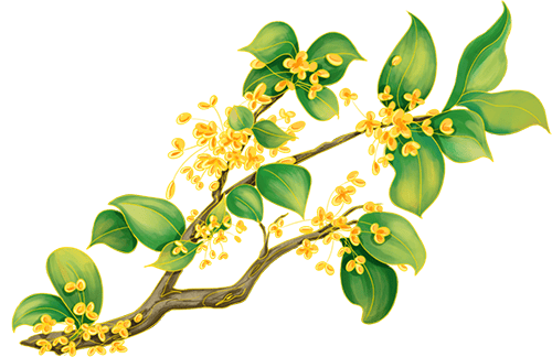 国庆、中秋假日期间天气预报新鲜出炉<strong></p>
<p>usdt暴跌</strong>！