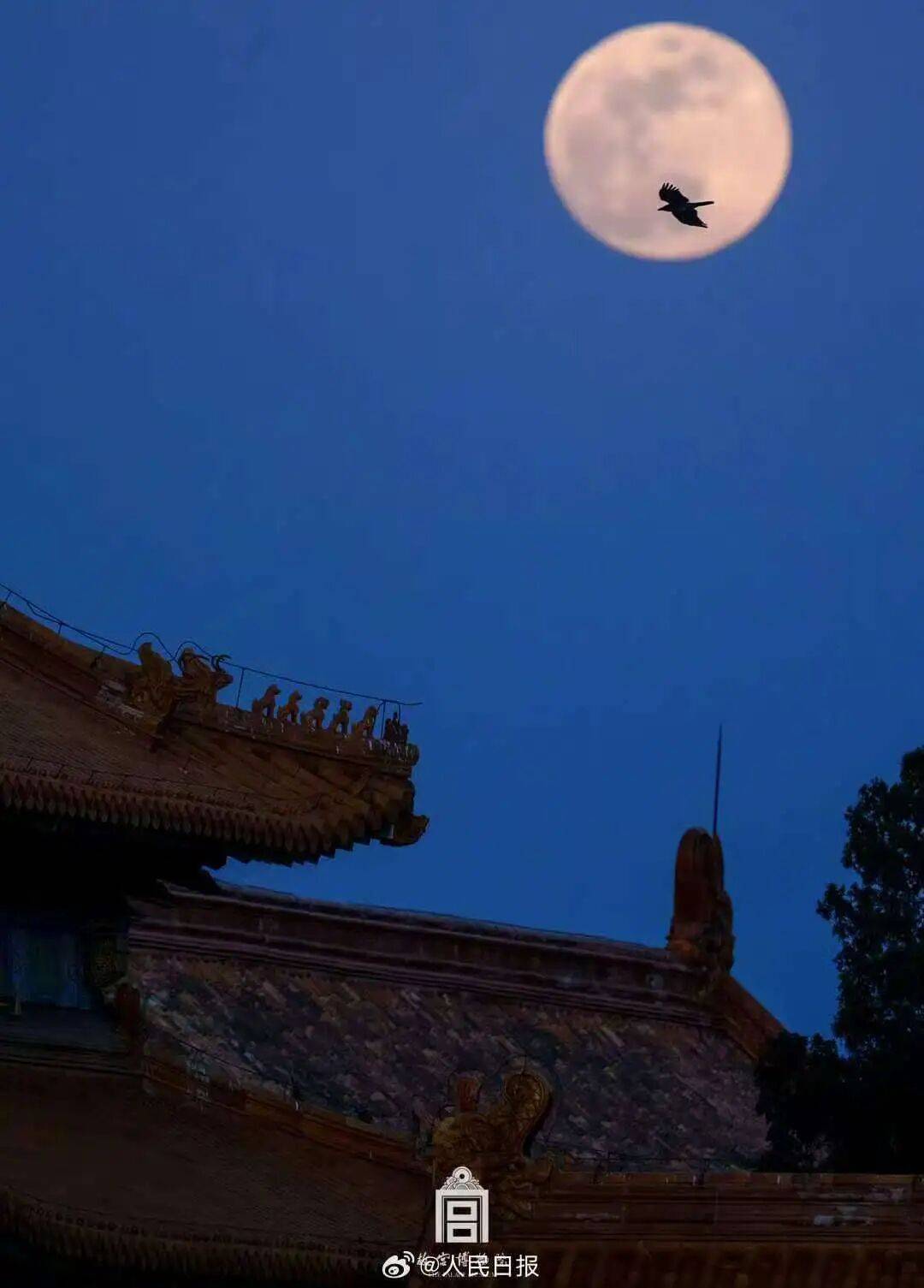 国庆、中秋假日期间天气预报新鲜出炉<strong></p>
<p>usdt暴跌</strong>！