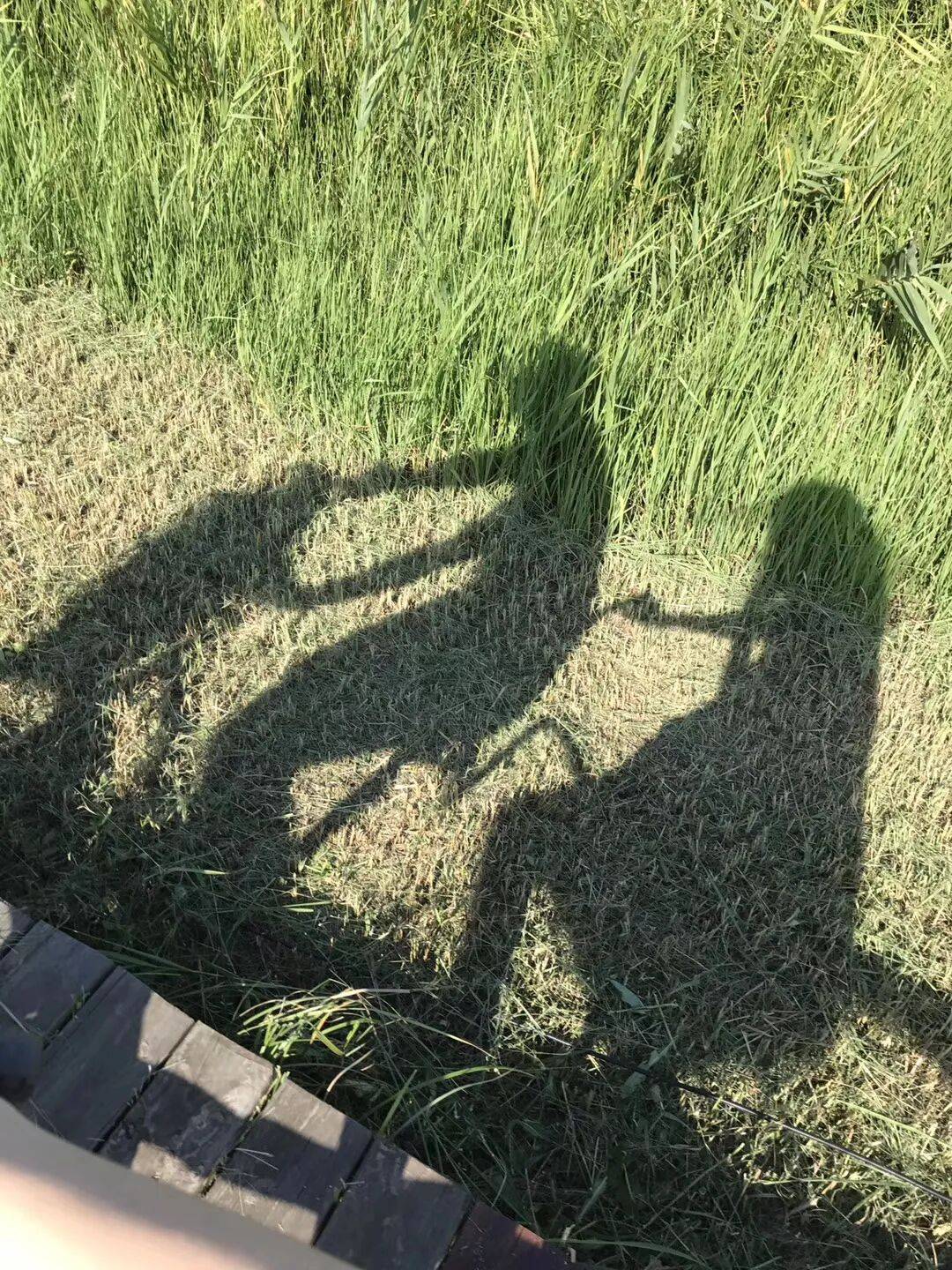 纸质火车票退场<strong></p>
<p>usdt暴跌</strong>，每道折痕里都藏着远方、爱情与山河记忆