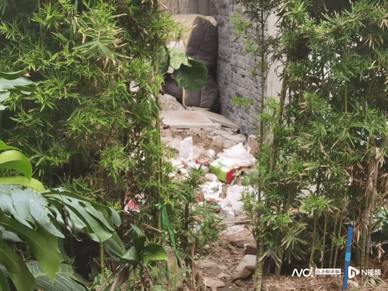 暗访回头看：广州口袋公园乱象整改成效如何<strong></p>
<p>usdt暴跌</strong>？记者再探