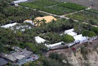 无意还是戏精？她办婚礼<strong></p>
<p>usdt价格今日行情</strong>，分手多年的他隔空说“我愿意”？