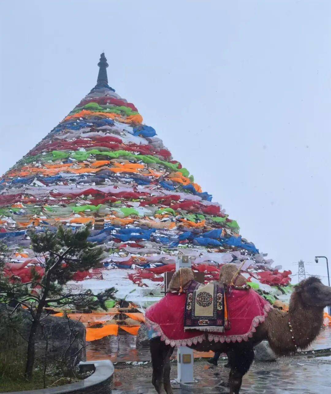 多地突降大雪<strong></p>
<p>usdt价格今日行情</strong>！