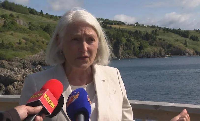 宁愿全部安乐死<strong></p>
<p>usdt钱包</strong>,也不给中国?加拿大养不起30头白鲸,中国愿接手,然而...