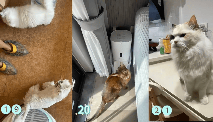 这个需求激增!一男子连接270单<strong></p>
<p>usdt钱包</strong>,其中一笔收费8100元