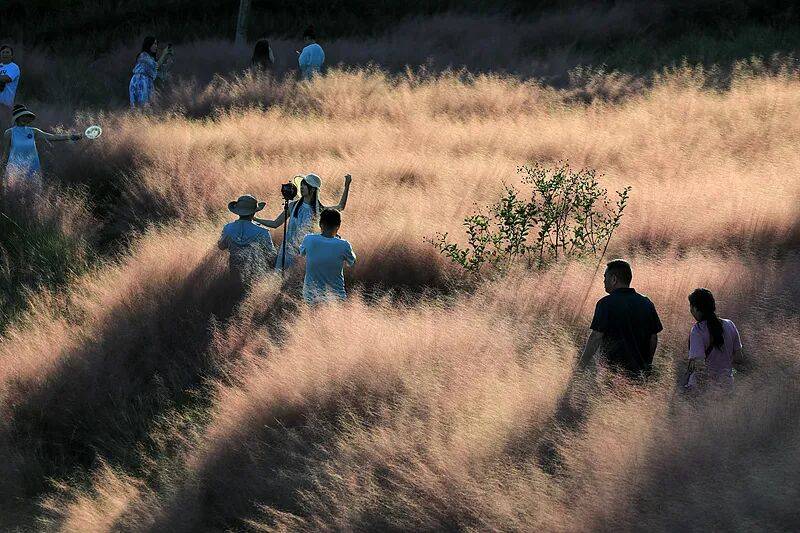 打卡拍照<strong></p>
<p>usdt钱包官方下载</strong>，再美也不能用生命对焦