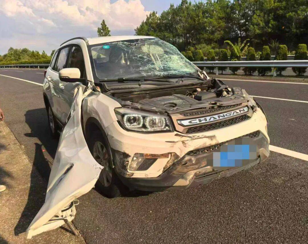 司机强行变道酿大祸<strong></p>
<p>usdt交易平台</strong>，反诬赖对方：“我要是撒谎就天打雷劈！”