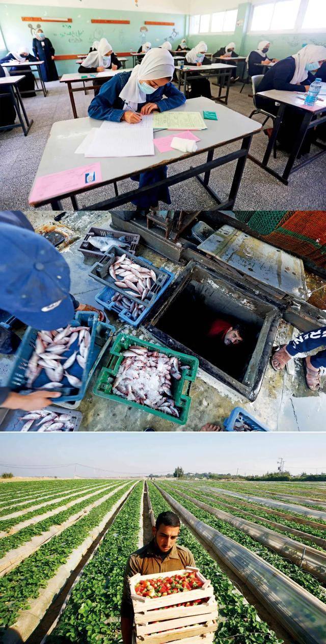 “没有一个人不是难民”