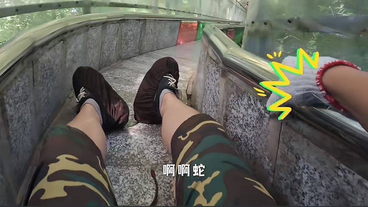 游客称在广西丹炉山滑道遇蛇<strong></p>
<p>usdt汇率</strong>，景区致歉：这么多年就这一次，每年都做防蛇处理