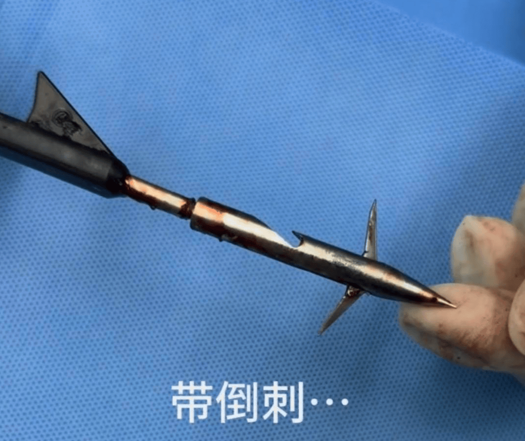 教育局回应“一教师用弓箭射杀小狗”：不实<strong></p>
<p>usdt货币</strong>，小狗进学校前就被射伤