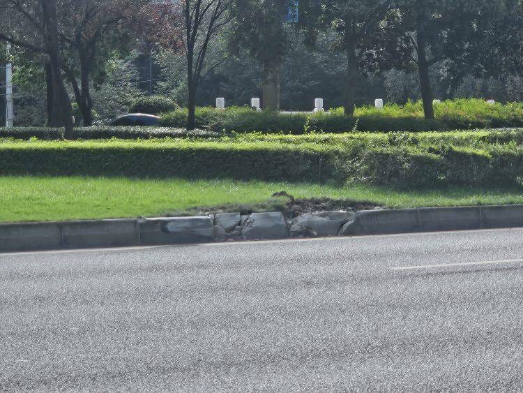 成都发生一起严重交通事故<strong></p>
<p>usdt币</strong>，上游新闻实地探访：燃烧留下的印记仍在