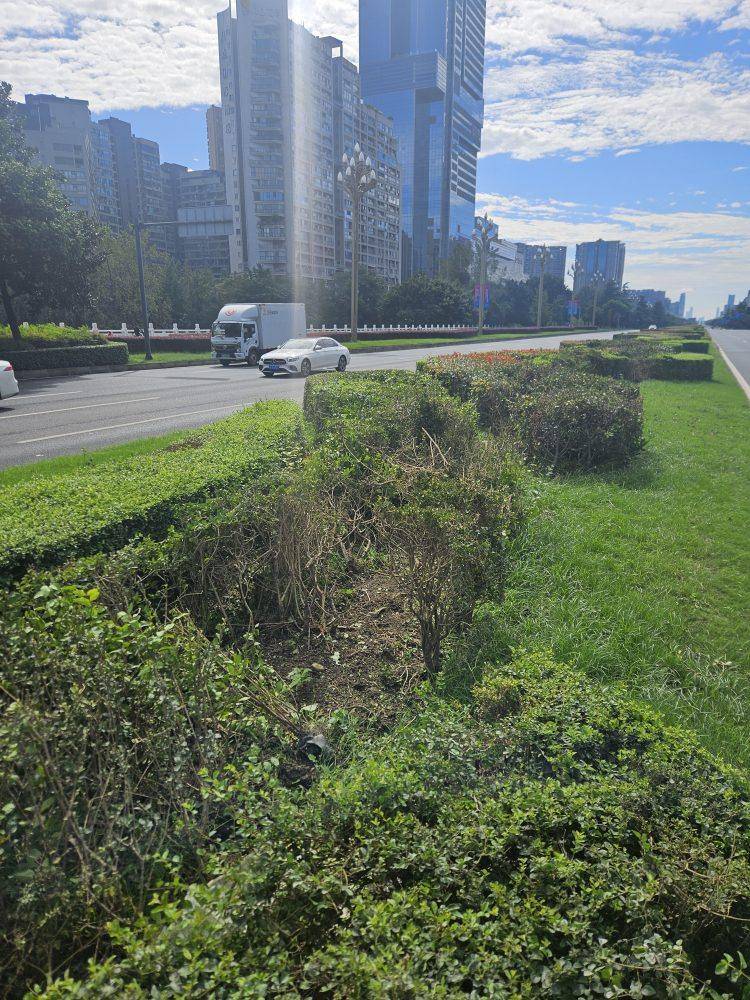 成都发生一起严重交通事故<strong></p>
<p>usdt币</strong>，上游新闻实地探访：燃烧留下的印记仍在