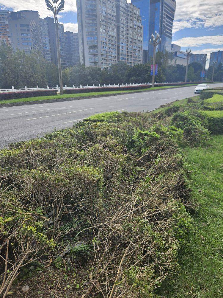 成都发生一起严重交通事故<strong></p>
<p>usdt币</strong>，上游新闻实地探访：燃烧留下的印记仍在