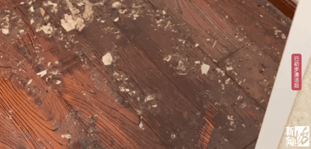 上海一业主推开家门瞬间懵了<strong></p>
<p>usdt币</strong>！精装房竟成“化粪池”……