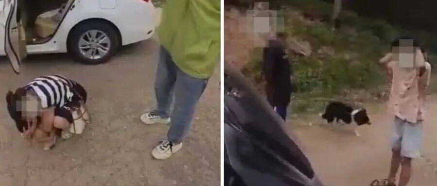 深圳一市民突遭马蜂围袭！已进入高发期<strong></p>
<p>usdt币</strong>，千万别招惹！