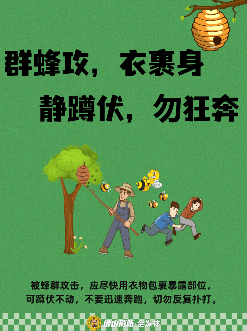深圳一市民突遭马蜂围袭！已进入高发期<strong></p>
<p>usdt币</strong>，千万别招惹！