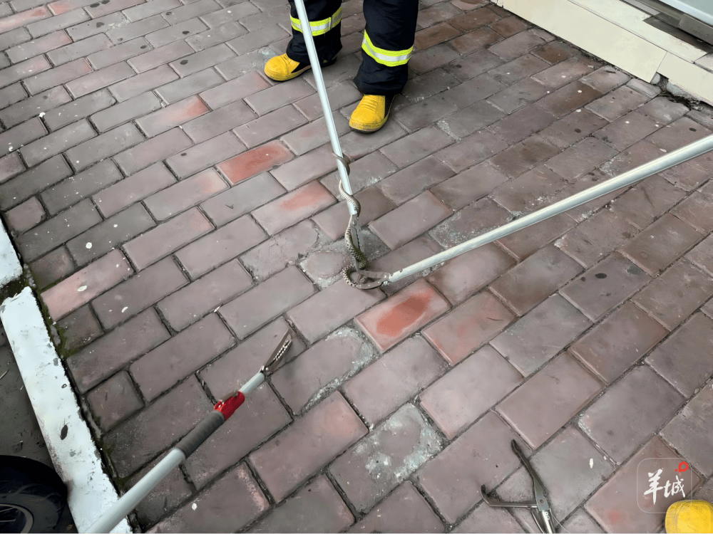 广州一小区蛇患频发：已抓超60条但未探测到蛇窝位置<strong></p>
<p>usdt钱包下载</strong>，多方介入