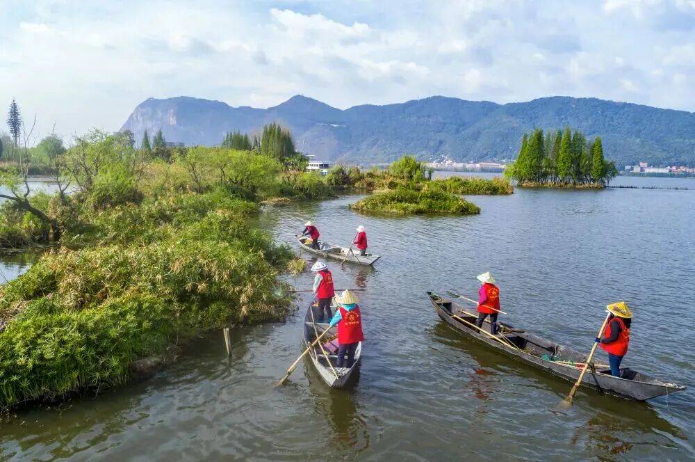 镜观·回响丨巾帼共绘新时代