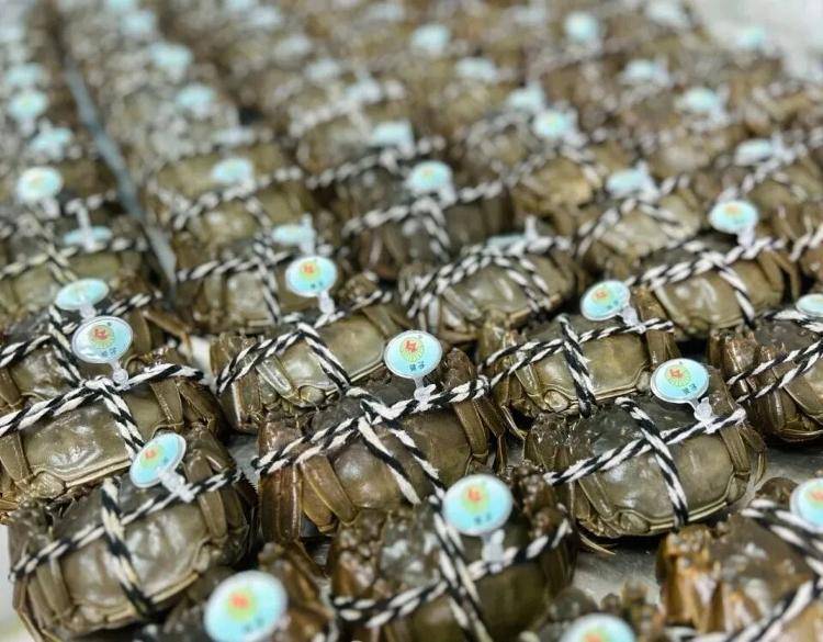 武汉江夏一地大闸蟹大量上市<strong></p>
<p>usdt价格</strong>，日产1000斤当天售完，每只螃蟹有自己的“身份证”，吃深海小黄鱼长大