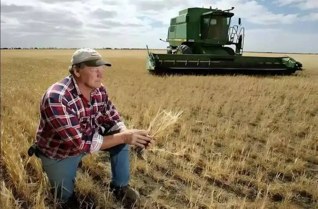 稀土卡脖子<strong></p>
<p>usdt价格</strong>，美方军工企业停摆！美财长喊话：开出取消关税的条件，美农户输惨了