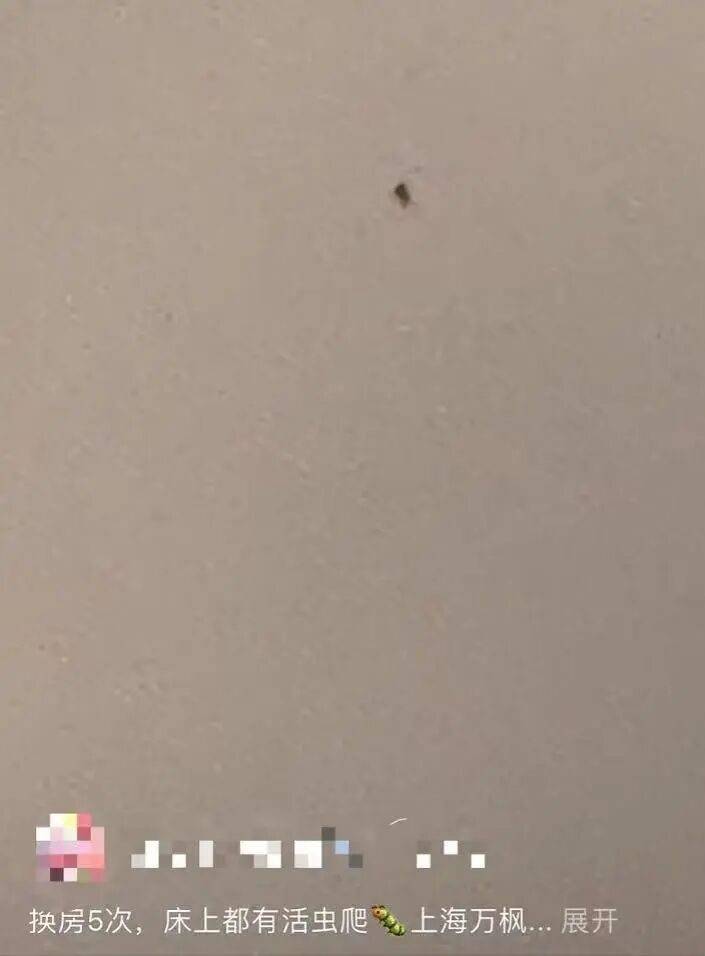 “连换5间房<strong></p>
<p>usdt官网</strong>，每间床上都有活虫！”上海新开高档酒店回应