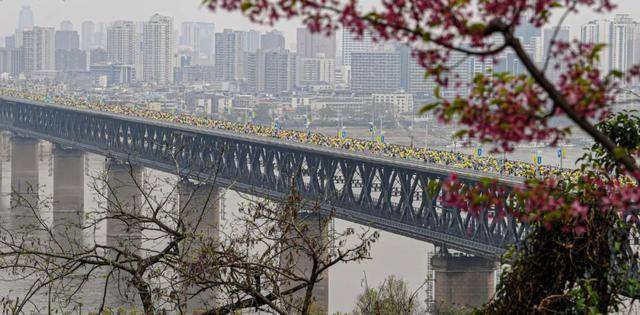 今天是她68岁生日<strong></p>
<p>usdt官网</strong>,武汉人:不准退休!