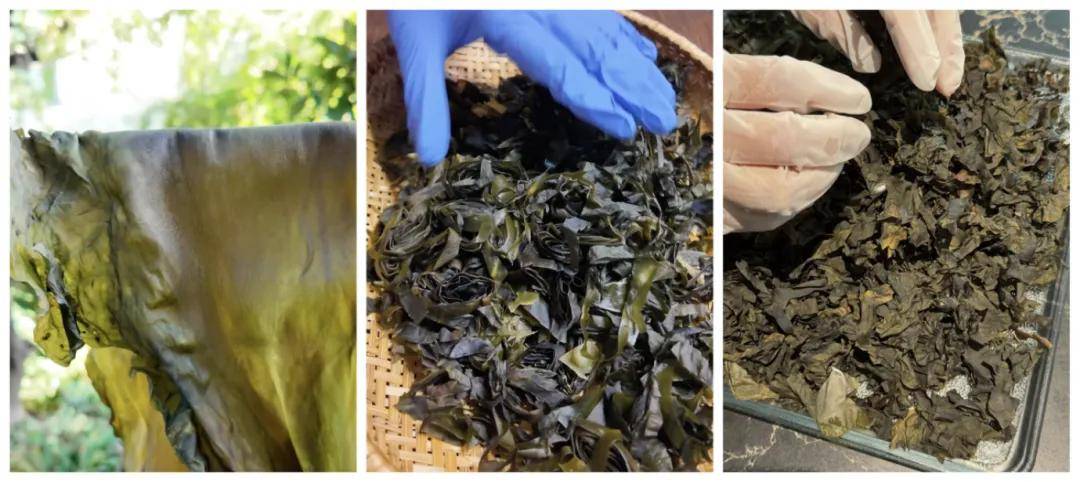 被万亿巨头忽略的赛道<strong></p>
<p>usdt支付</strong>，却受年轻人追捧，有公司年销70亿