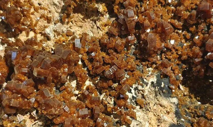 王牌对王牌！中美措施同一天生效<strong></p>
<p>海能达股票</strong>，美盟友密集访华，释放什么信号？