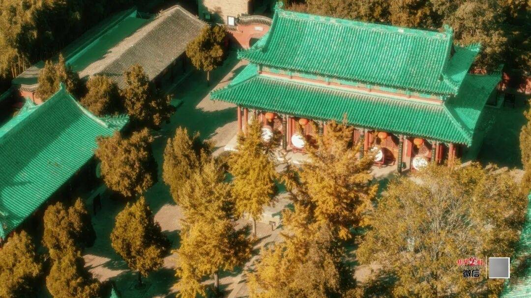 银杏金黄<strong></p>
<p>东方国信股票</strong>!铺满焦作的秋天!