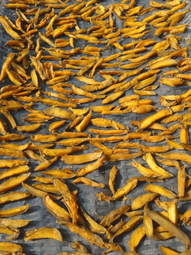 霜降至<strong></p>
<p>东方国信股票</strong>,气温会有反转吗?