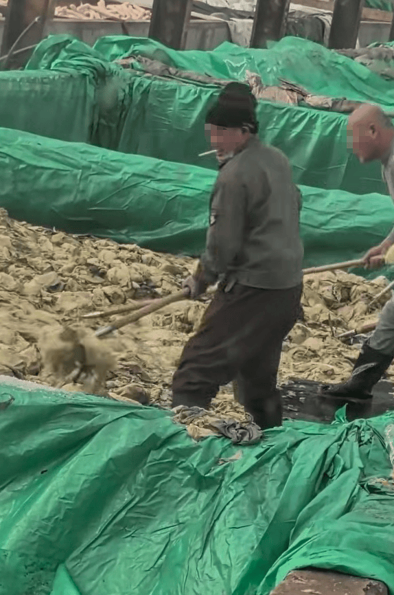 辽宁葫芦岛一男子酸菜池中抽烟吐痰<strong></p>
<p>西藏旅游股票</strong>，曝光视频令人反胃！省市两级市监介入