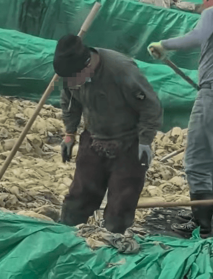 辽宁葫芦岛一男子酸菜池中抽烟吐痰<strong></p>
<p>西藏旅游股票</strong>，曝光视频令人反胃！省市两级市监介入