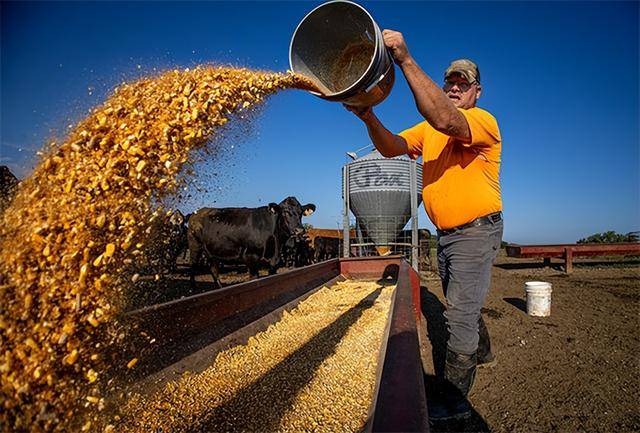 又输给了李成钢<strong></p>
<p>西藏旅游股票</strong>，贝森特承诺：美方不再考虑对华加征100%关税