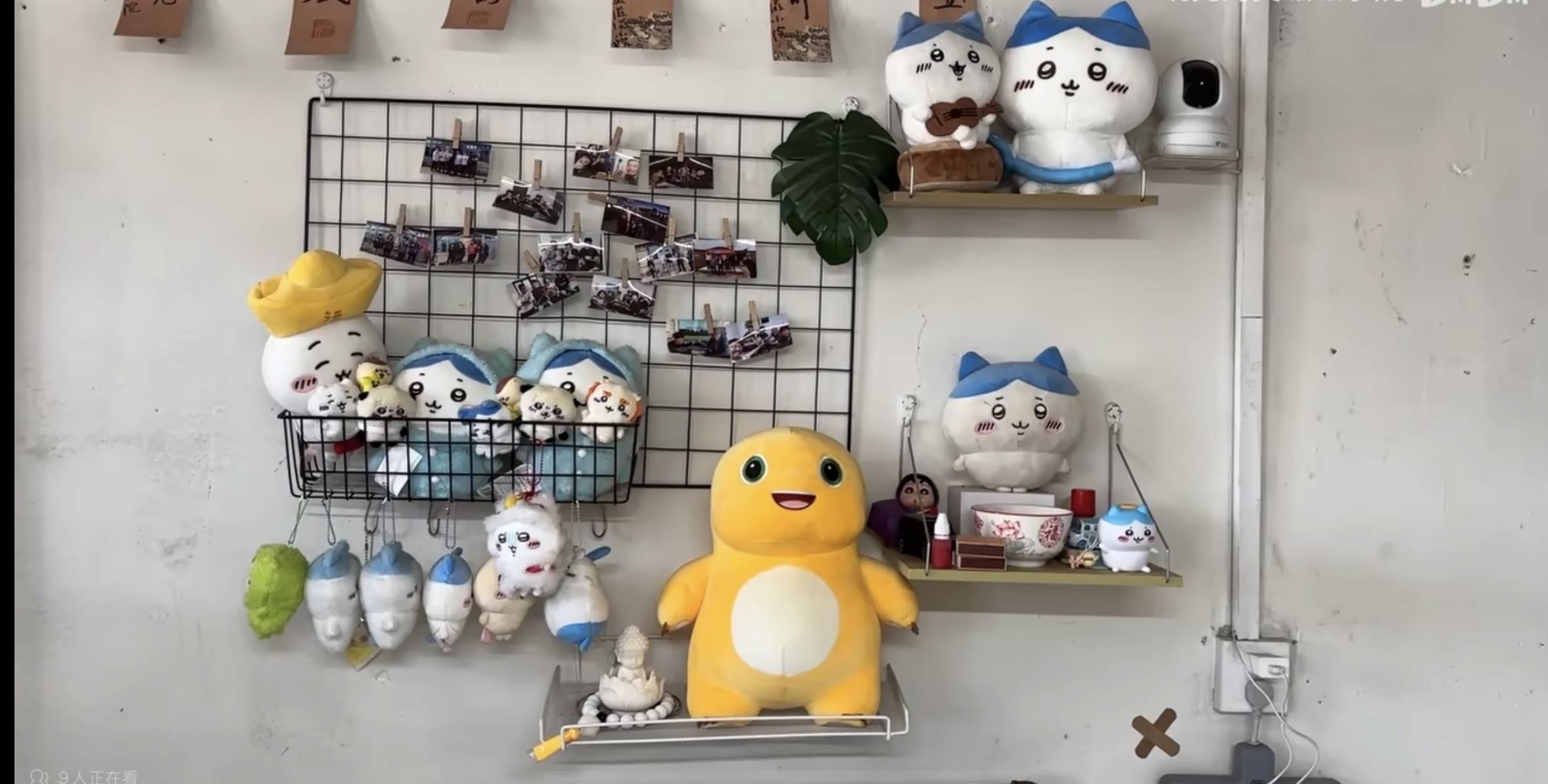 躲避家人催婚 六男子100块月租建“基地”