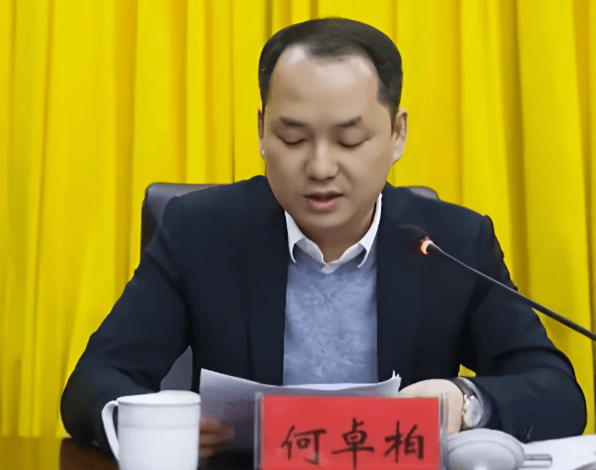 何卓柏<strong></p>
<p>中孚实业股票</strong>，严重违纪违法