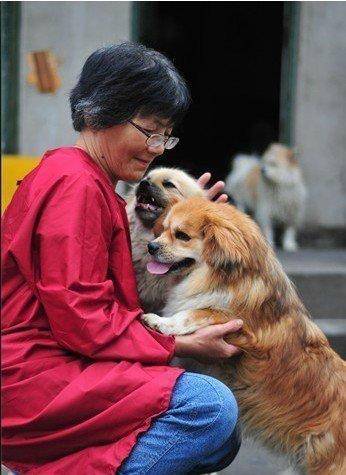 合肥卖房救助流浪狗的魏阿姨离世<strong></p>
<p>众生药业股票</strong>，病中仍然惦记着基地的600只流浪狗，工人：不敢相信世上还有这样执着的人