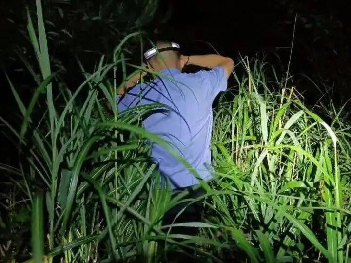 禁止任何形式穿越<strong></p>
<p>国际医学股票</strong>！杭州一地发布最严禁令