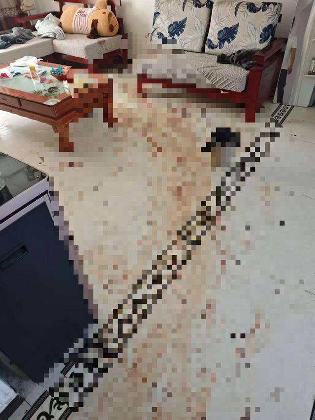 “女子出租屋遭男友持刀杀害”案明日开庭<strong></p>
<p>通化金马股票</strong>,家属发声:凶手从未道歉,我们不会谅解