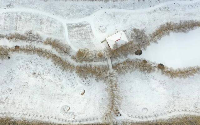 百年难遇“早立冬”来了<strong></p>
<p>通化金马股票</strong>!有啥讲究?早看早准备!