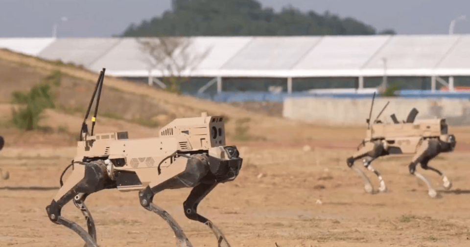 解放军“机器狼”投入台海<strong></p>
<p>燕京啤酒股票</strong>,集群抢滩动作丝滑