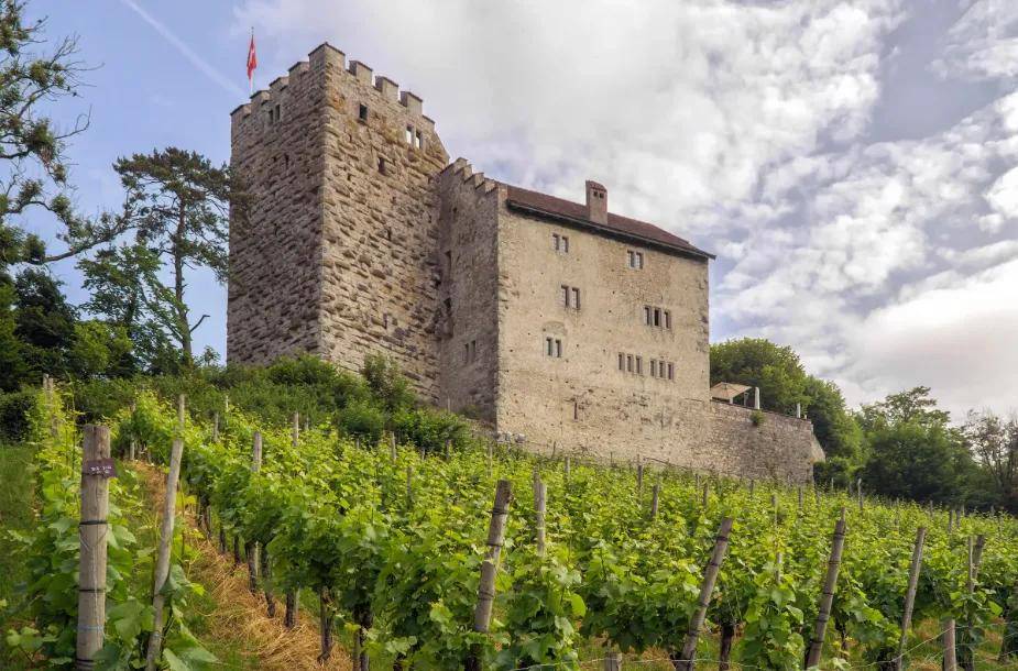 失踪百年的欧洲王室诅咒之钻重现<strong></p>
<p>美邦服饰股票</strong>，背后藏着一位忠贞皇后的惊人布局