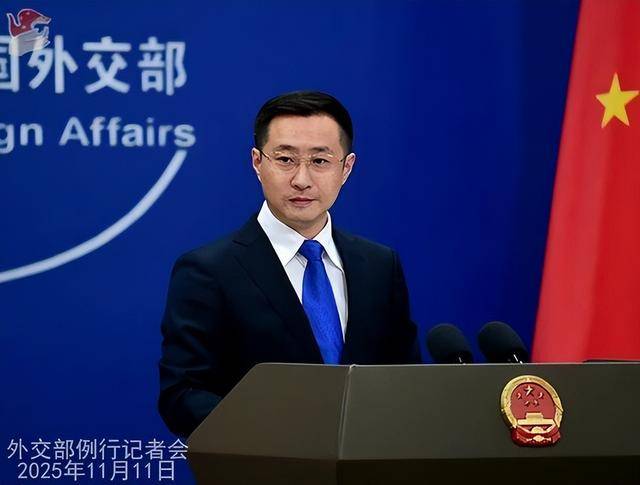 中方为什么要援助菲律宾<strong></p>
<p>中京电子股票</strong>，都援助了谁？