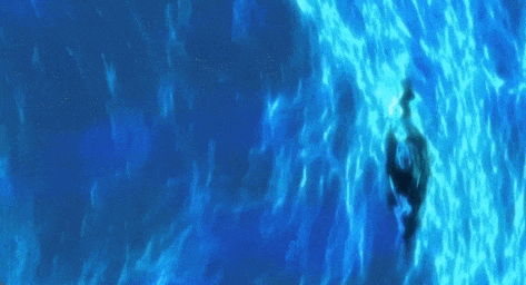 不是慢镜头！福建舰电磁弹射速度那么快<strong></p>
<p>沃森生物股票</strong>，是怎么瞬间刹车的？