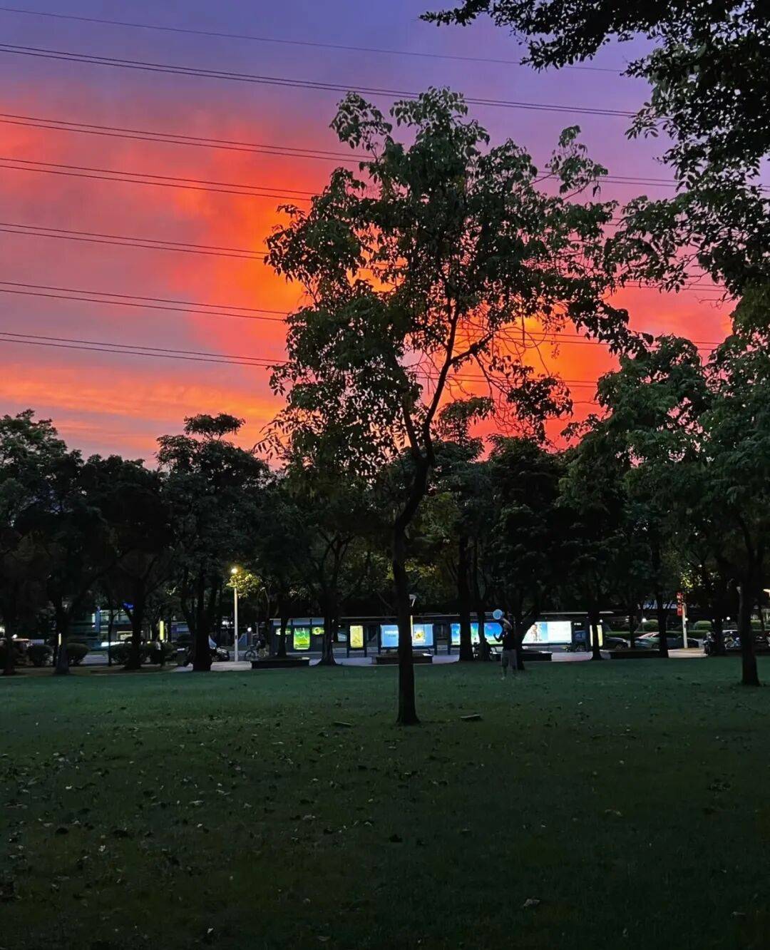 第一批丁克老后<strong></p>
<p>丰乐种业股票</strong>，“伴侣能陪一程，但最后都要靠自己”